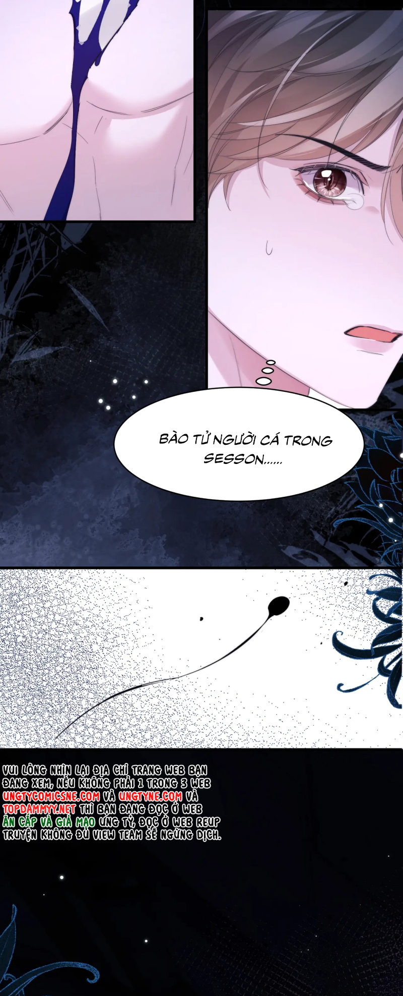 Desharow Nhân Ngư Chap 112 - Trang 4