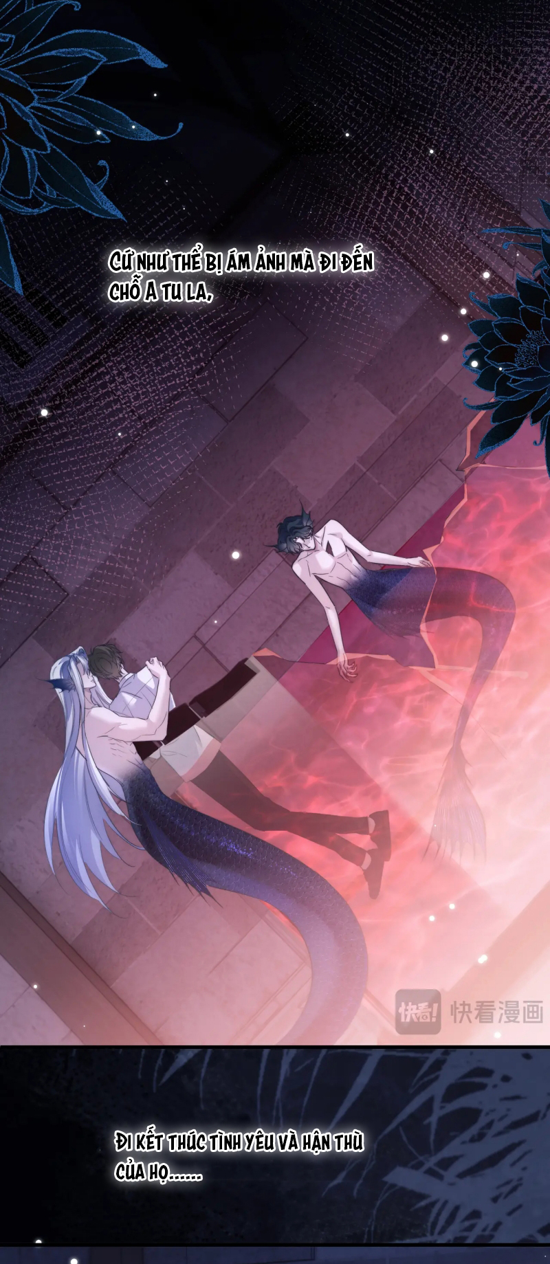 Desharow Nhân Ngư Chap 112 - Trang 4