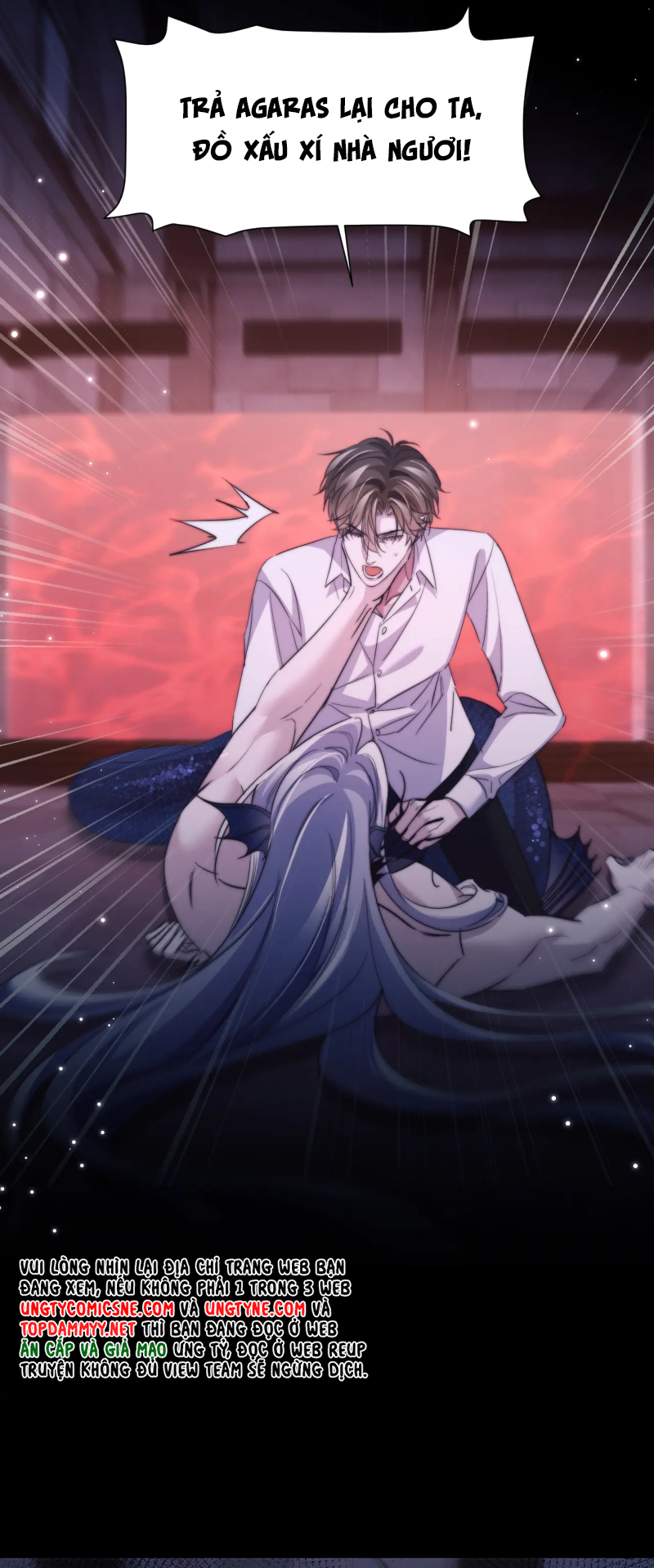 Desharow Nhân Ngư Chap 112 - Trang 4