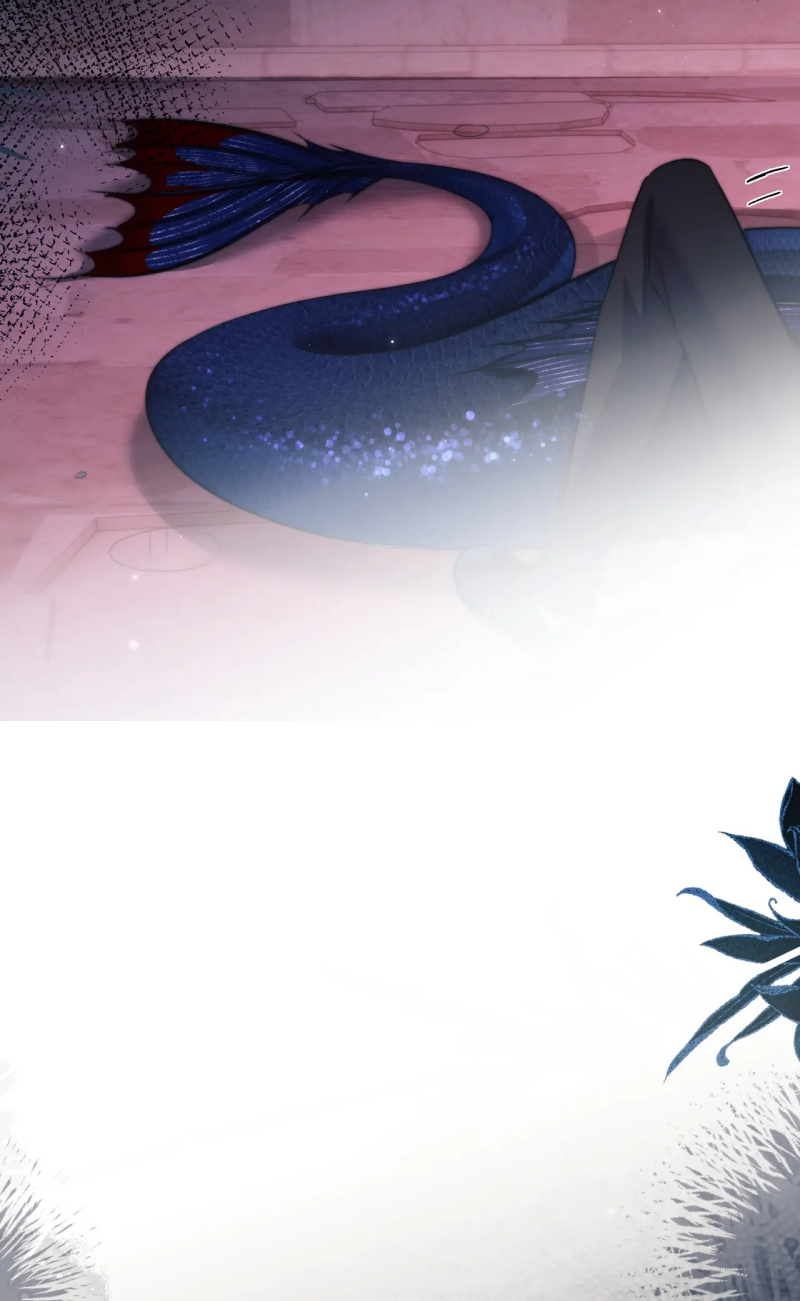 Desharow Nhân Ngư Chap 112 - Trang 4