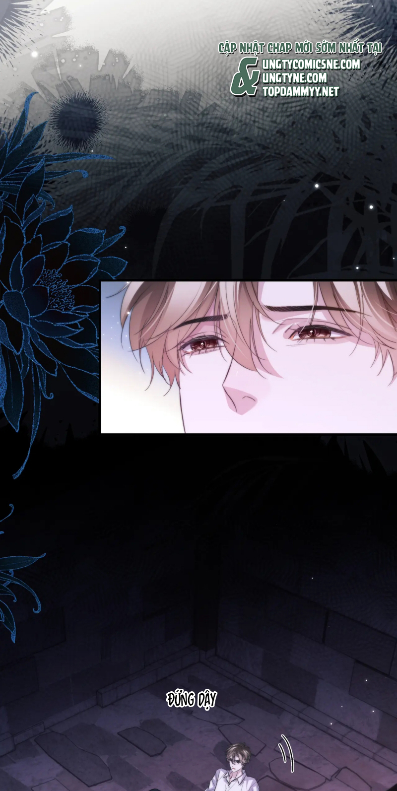 Desharow Nhân Ngư Chap 112 - Trang 4