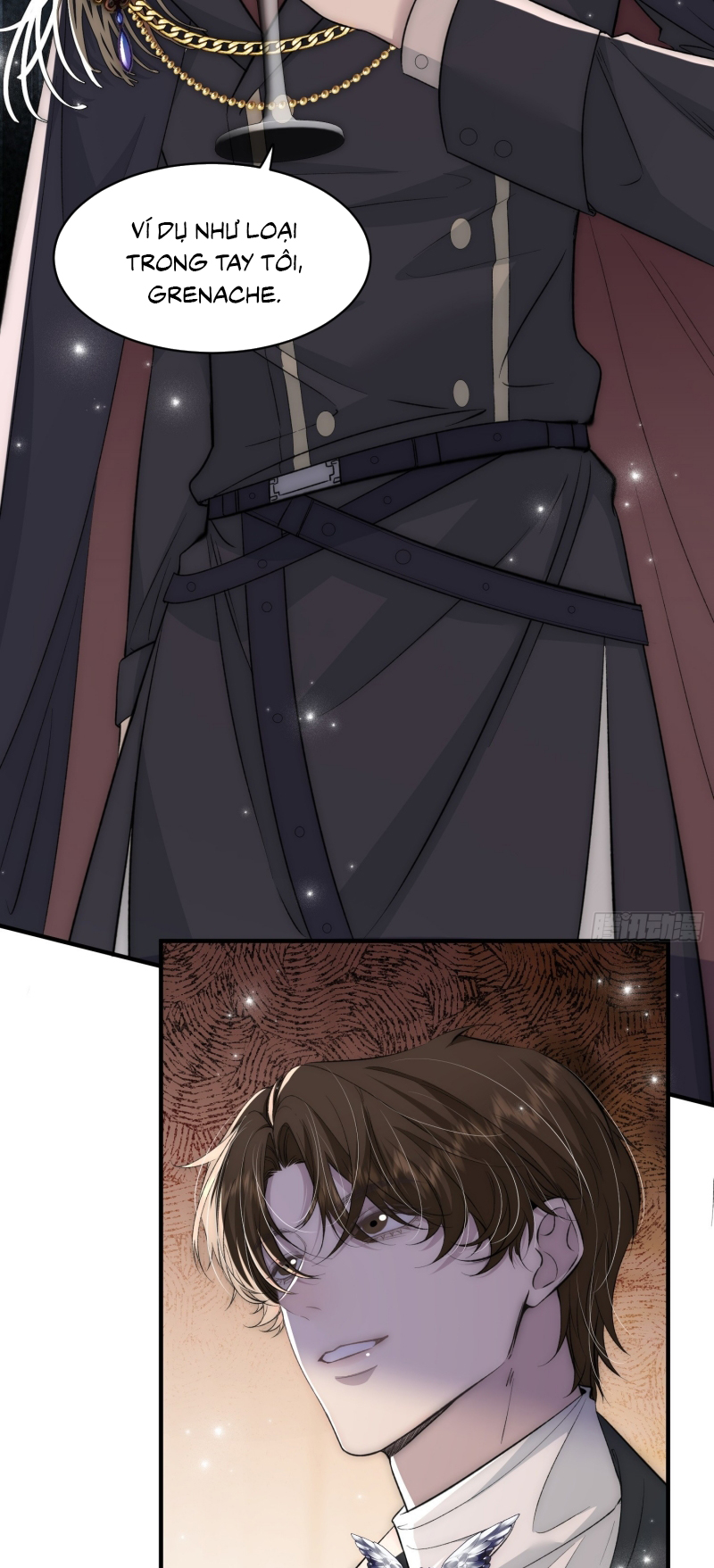 Đồng Phạm Hoàn Hảo Chap 12 - Next Chap 13