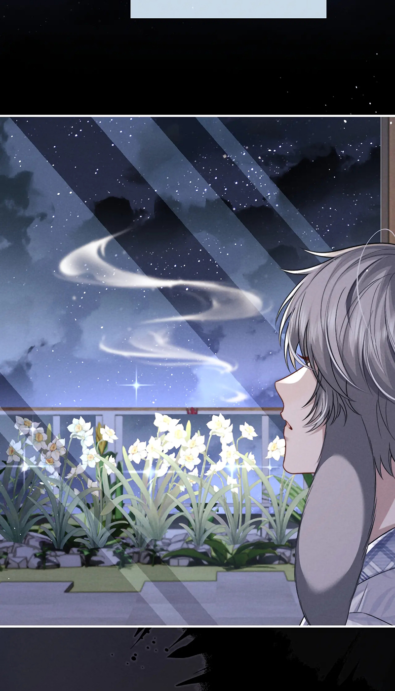 Chấp Sự Thỏ Cụp Tai Chap 178 - Next Chap 179