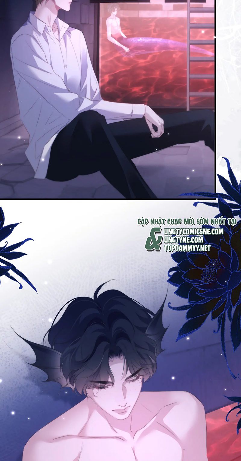 Desharow Nhân Ngư Chap 113 - Trang 3