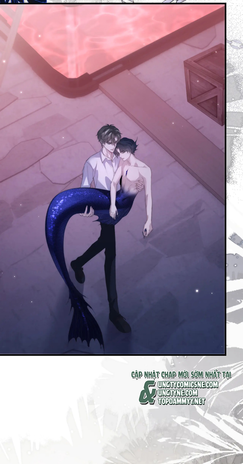 Desharow Nhân Ngư Chap 113 - Trang 3