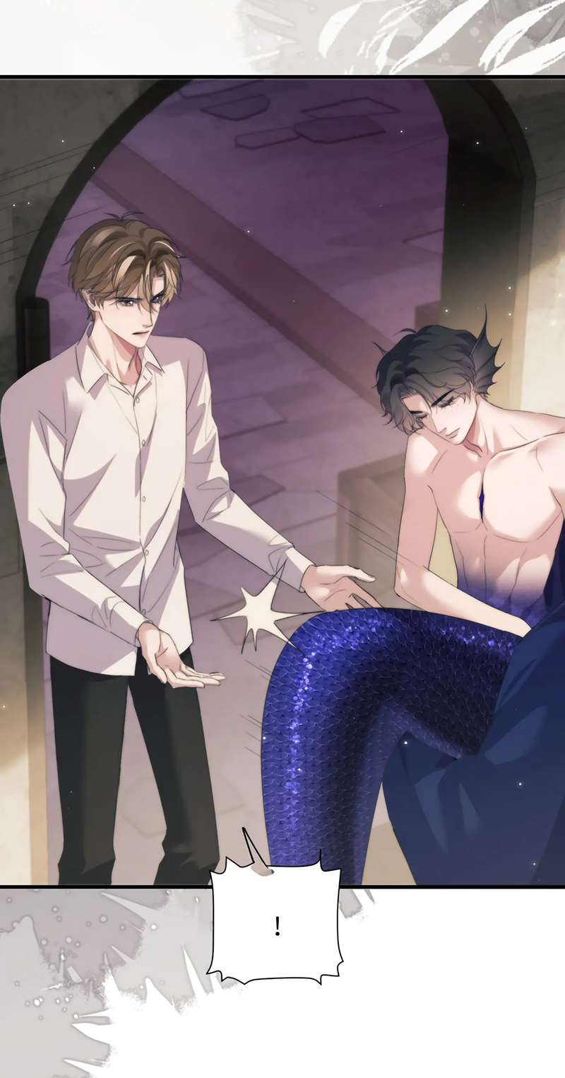 Desharow Nhân Ngư Chap 113 - Trang 3