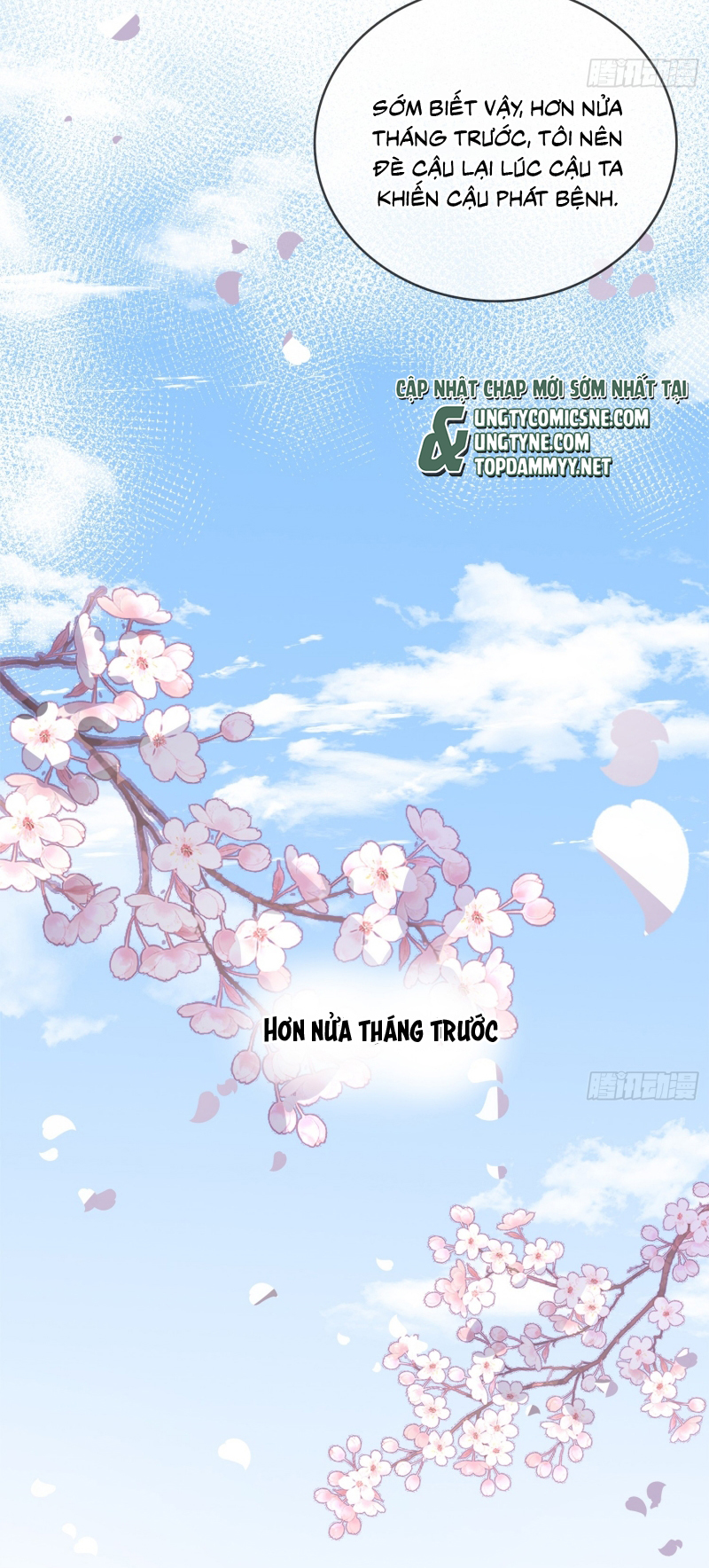 Gặp Tuyết Giữa Hạ Chap 12 - Trang 2