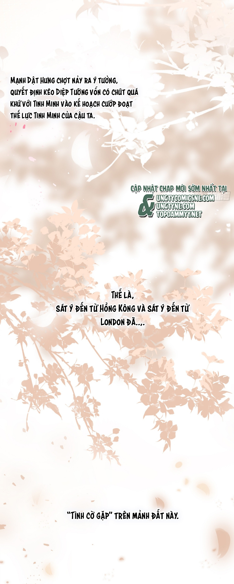 Gặp Tuyết Giữa Hạ Chap 12 - Trang 2