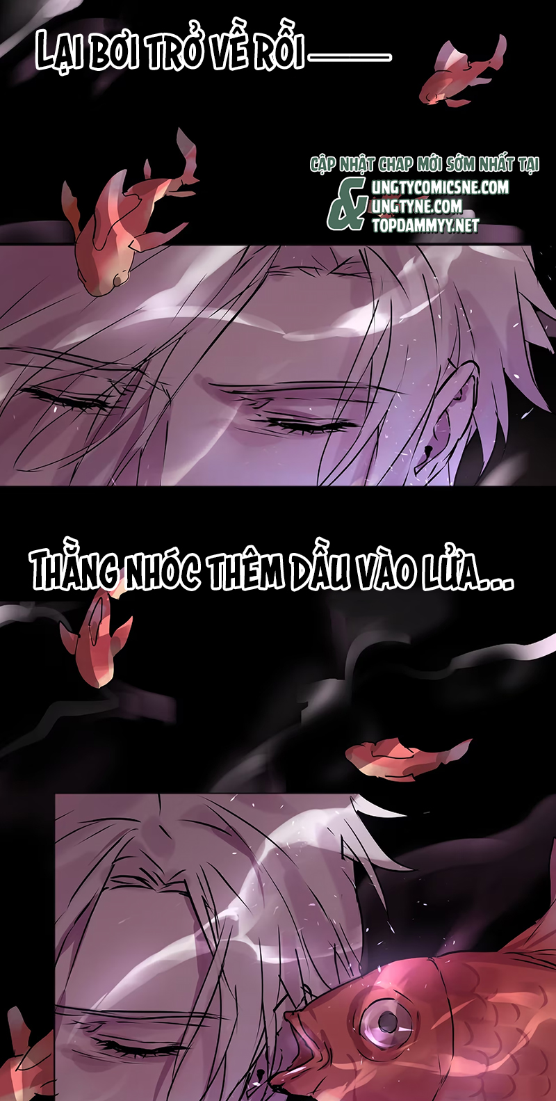 Bị Chó Điên Phát Hiện Tôi Là Đồng Loại Chapter 10 - Trang 3