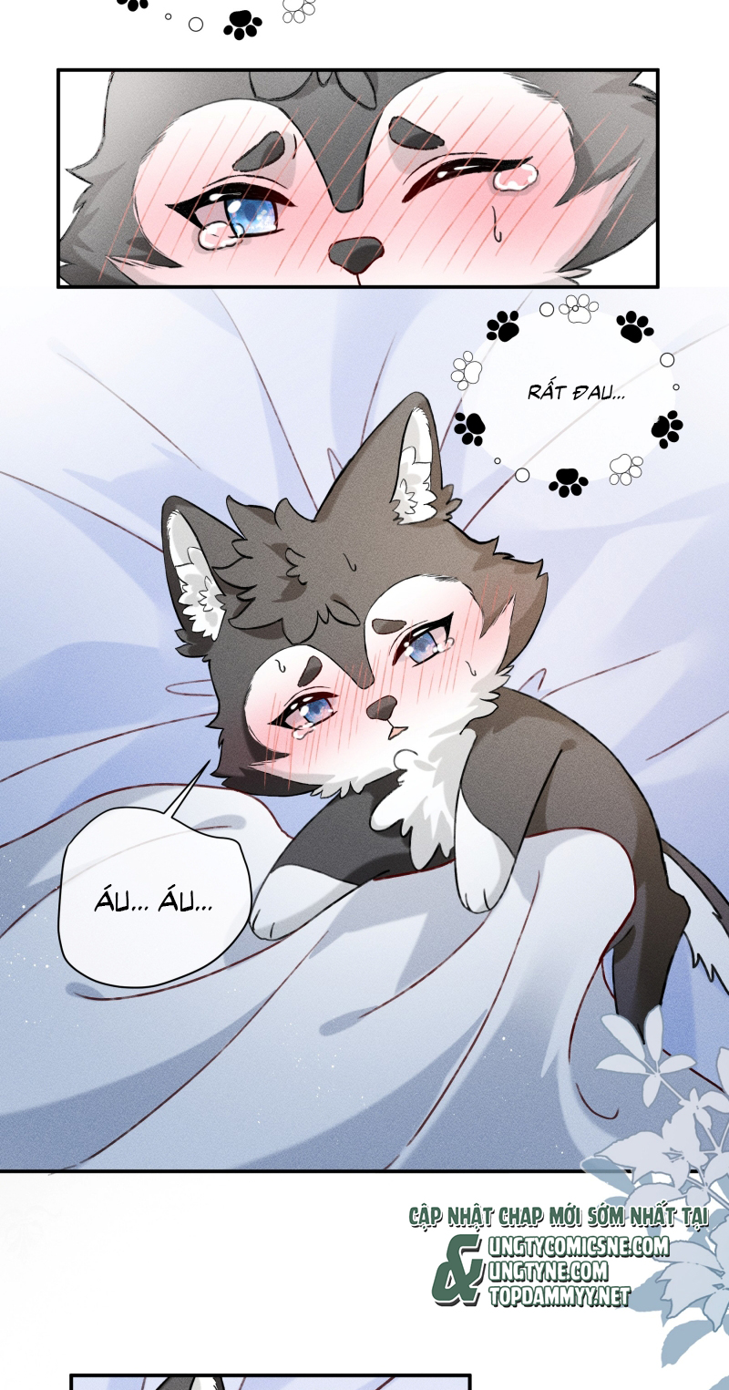 Nhận Kẻ Địch Làm Cha Chap 17 - Next Chap 18