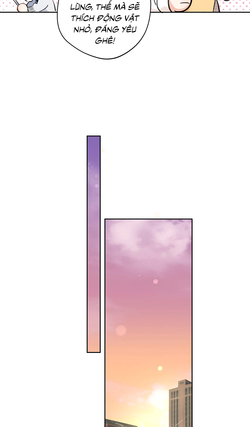 Lang Quân Muốn Chịu Trách Nhiệm Với Tôi Chap 22 - Trang 3