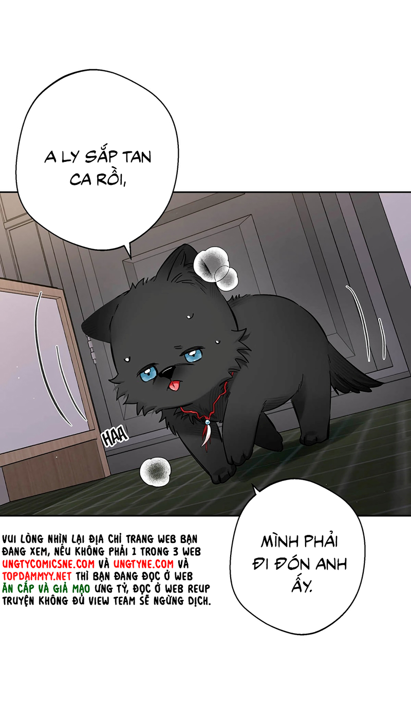 Lang Quân Muốn Chịu Trách Nhiệm Với Tôi Chap 22 - Trang 3