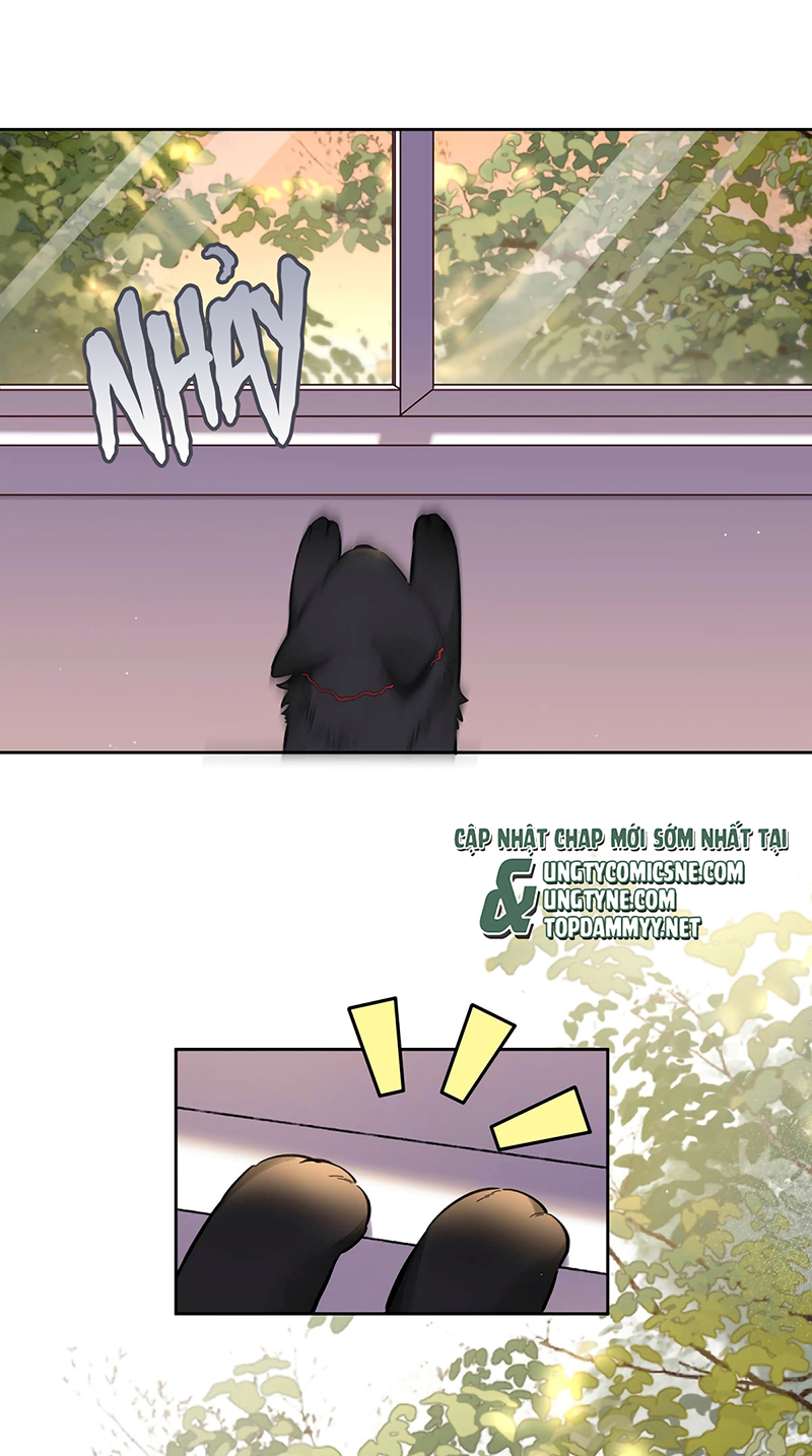 Lang Quân Muốn Chịu Trách Nhiệm Với Tôi Chap 22 - Trang 3