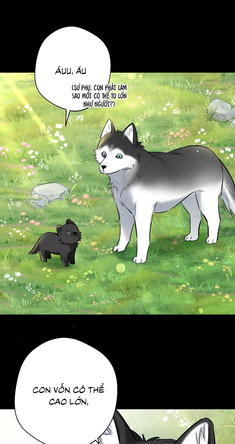 Lang Quân Muốn Chịu Trách Nhiệm Với Tôi Chap 22 - Trang 3