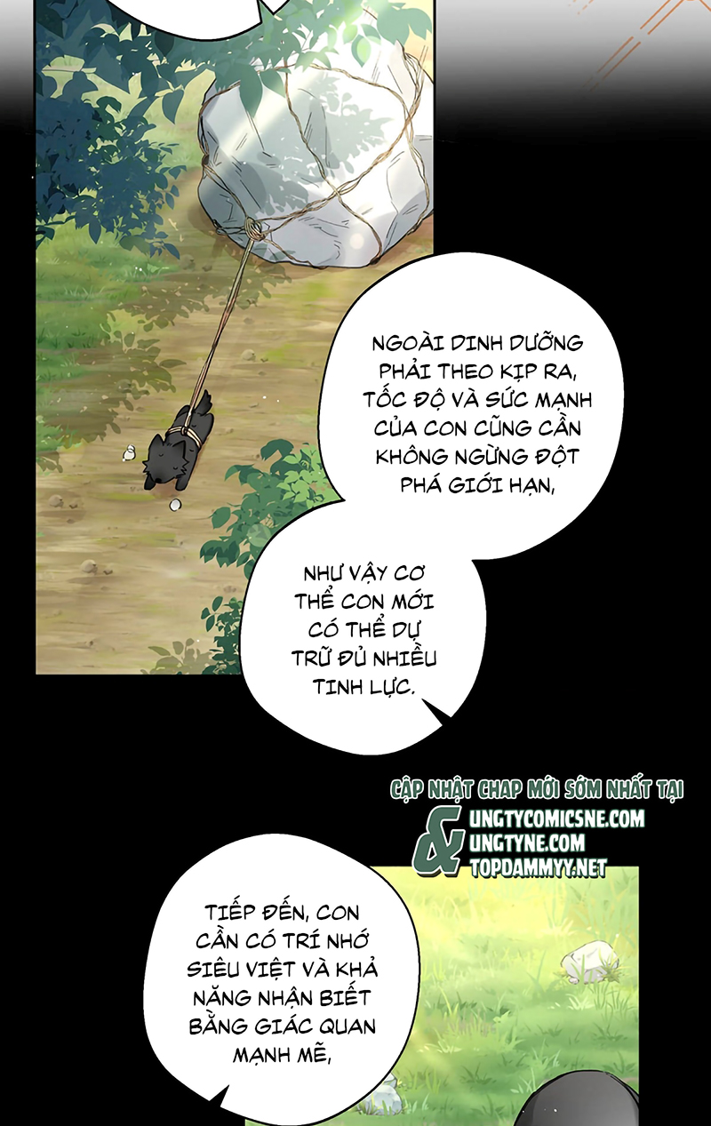 Lang Quân Muốn Chịu Trách Nhiệm Với Tôi Chap 22 - Trang 3