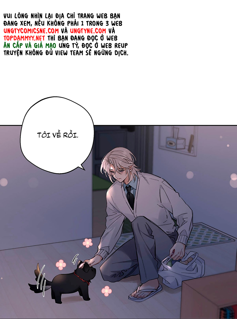 Lang Quân Muốn Chịu Trách Nhiệm Với Tôi Chap 22 - Trang 3