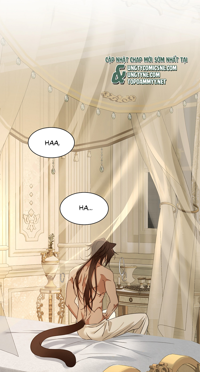 Vương Tử Bệnh Kiều Bị Báo Đen Chiếm Đoạt Đến Nghiện Chap 14 - Trang 2