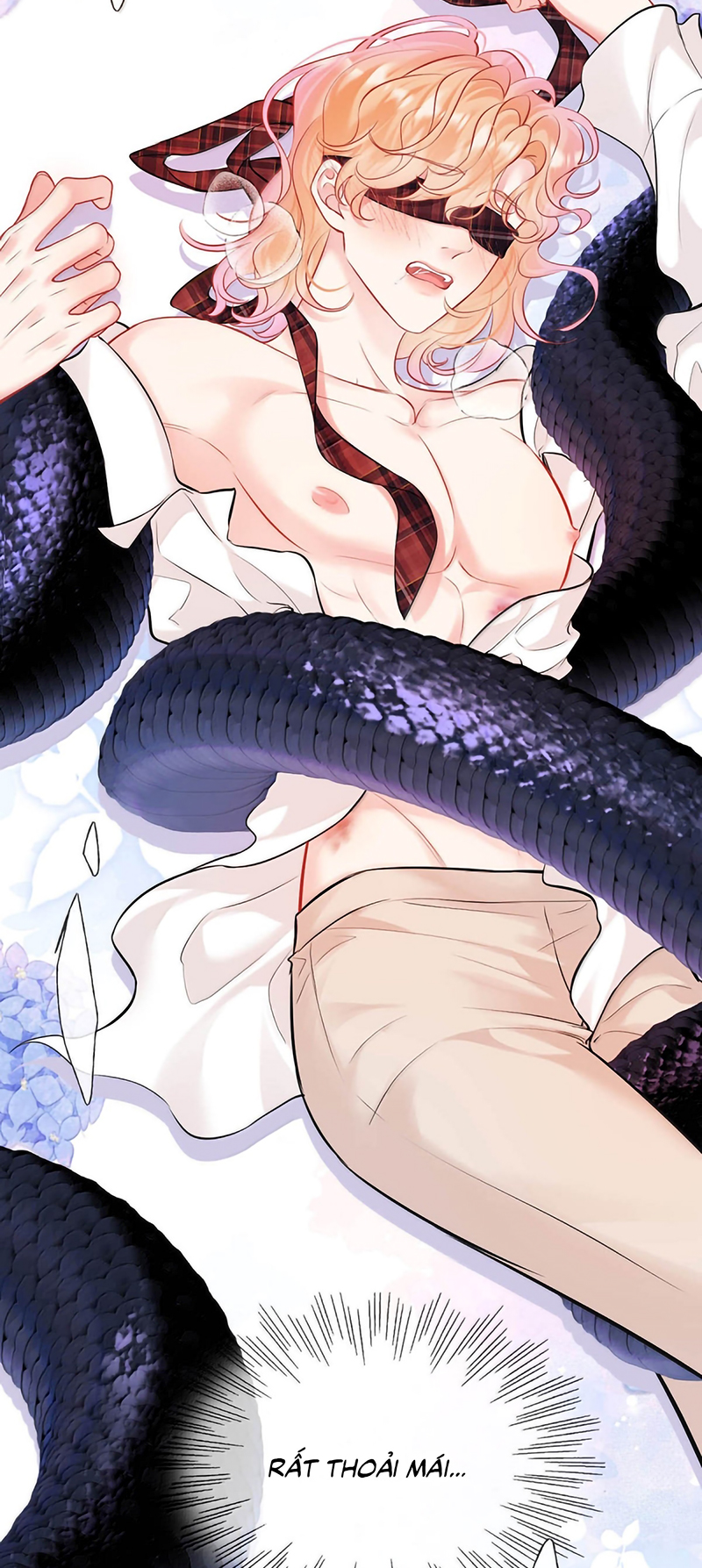 Công Lược Đối Tượng! Hình Tượng Của Cậu Sập Rồi! Chap 50 - Trang 3