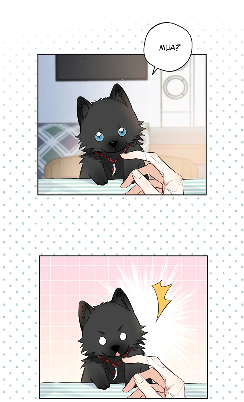 Lang Quân Muốn Chịu Trách Nhiệm Với Tôi Chap 23 - Trang 3