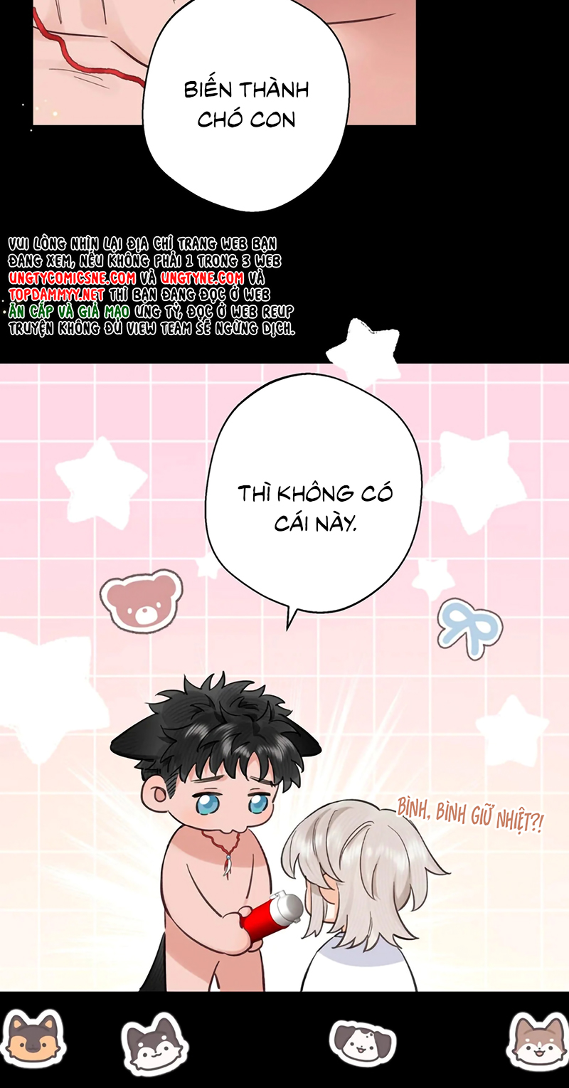 Lang Quân Muốn Chịu Trách Nhiệm Với Tôi Chap 23 - Trang 3