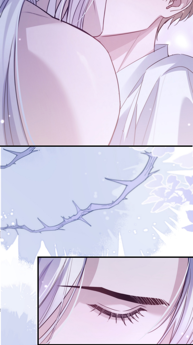 Desharow Nhân Ngư Chap 116 - Trang 3