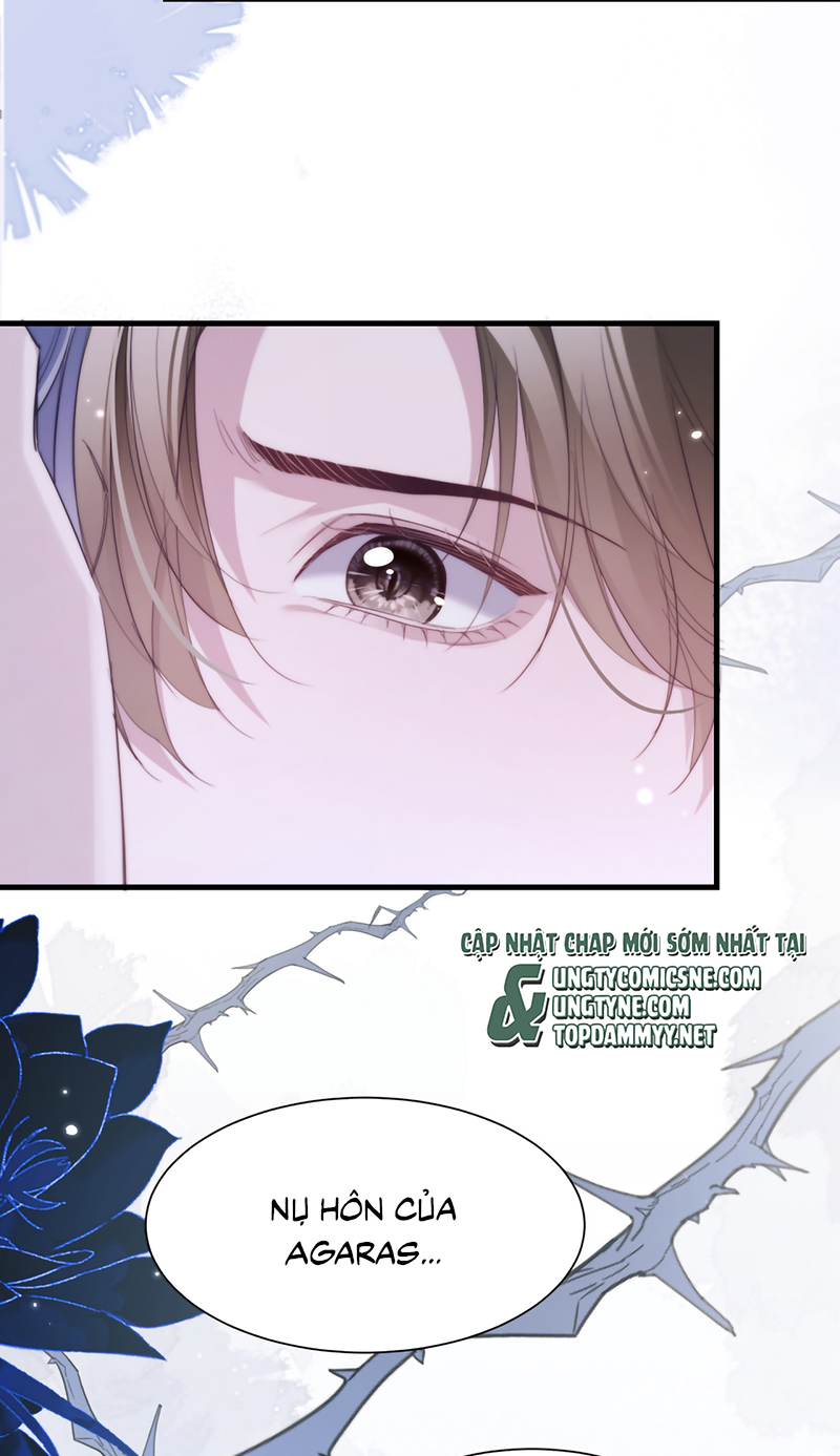 Desharow Nhân Ngư Chap 116 - Trang 3