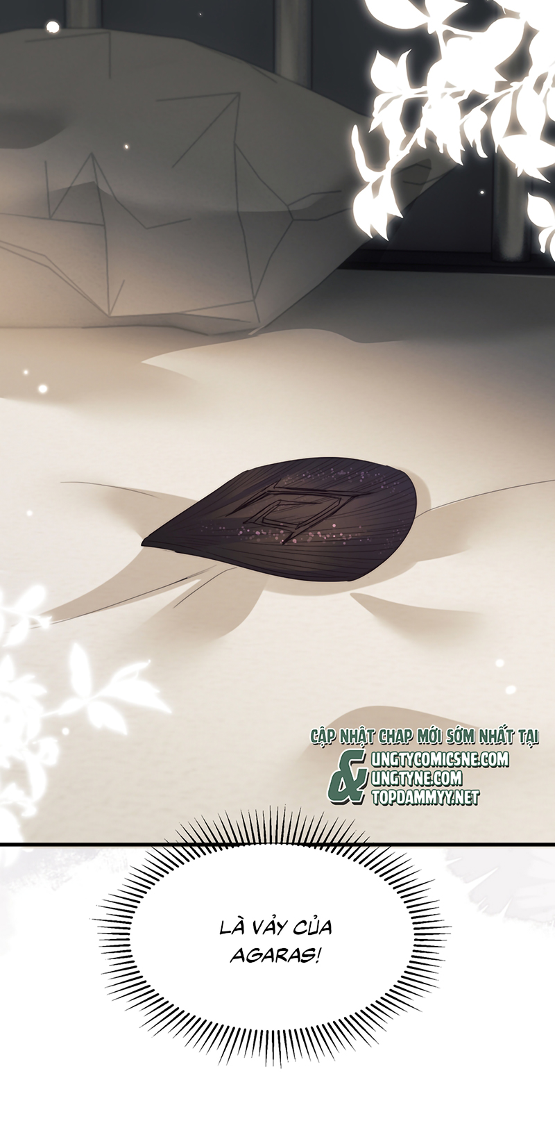 Desharow Nhân Ngư Chap 116 - Trang 3