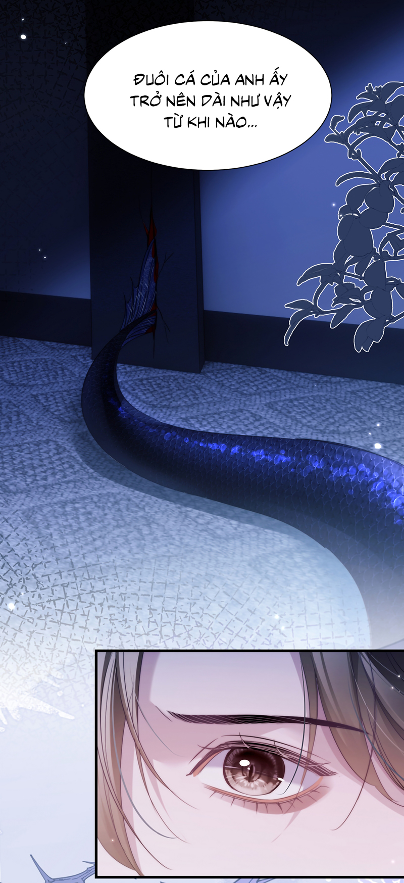 Desharow Nhân Ngư Chap 116 - Trang 3