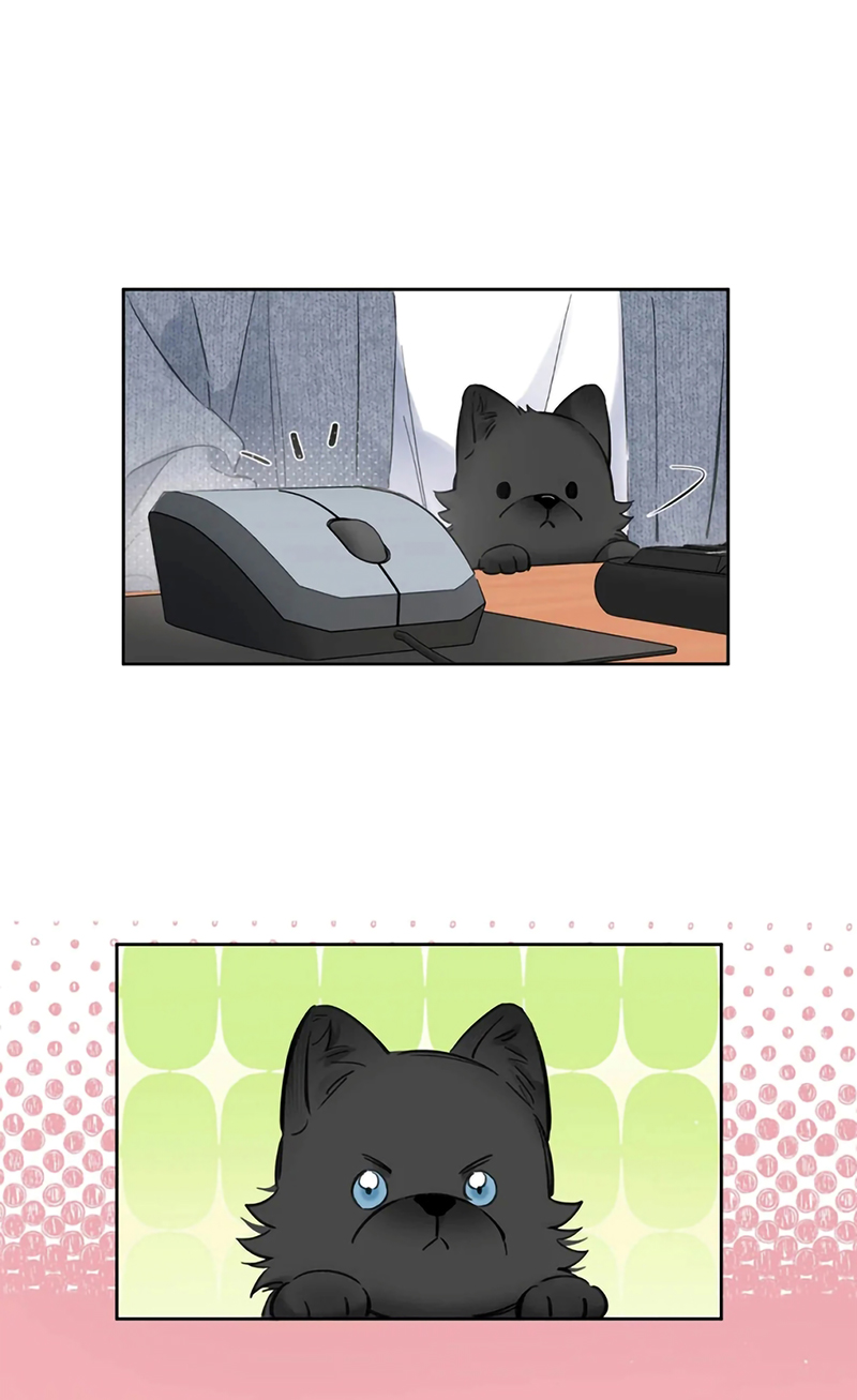 Lang Quân Muốn Chịu Trách Nhiệm Với Tôi Chap 24 - Trang 3