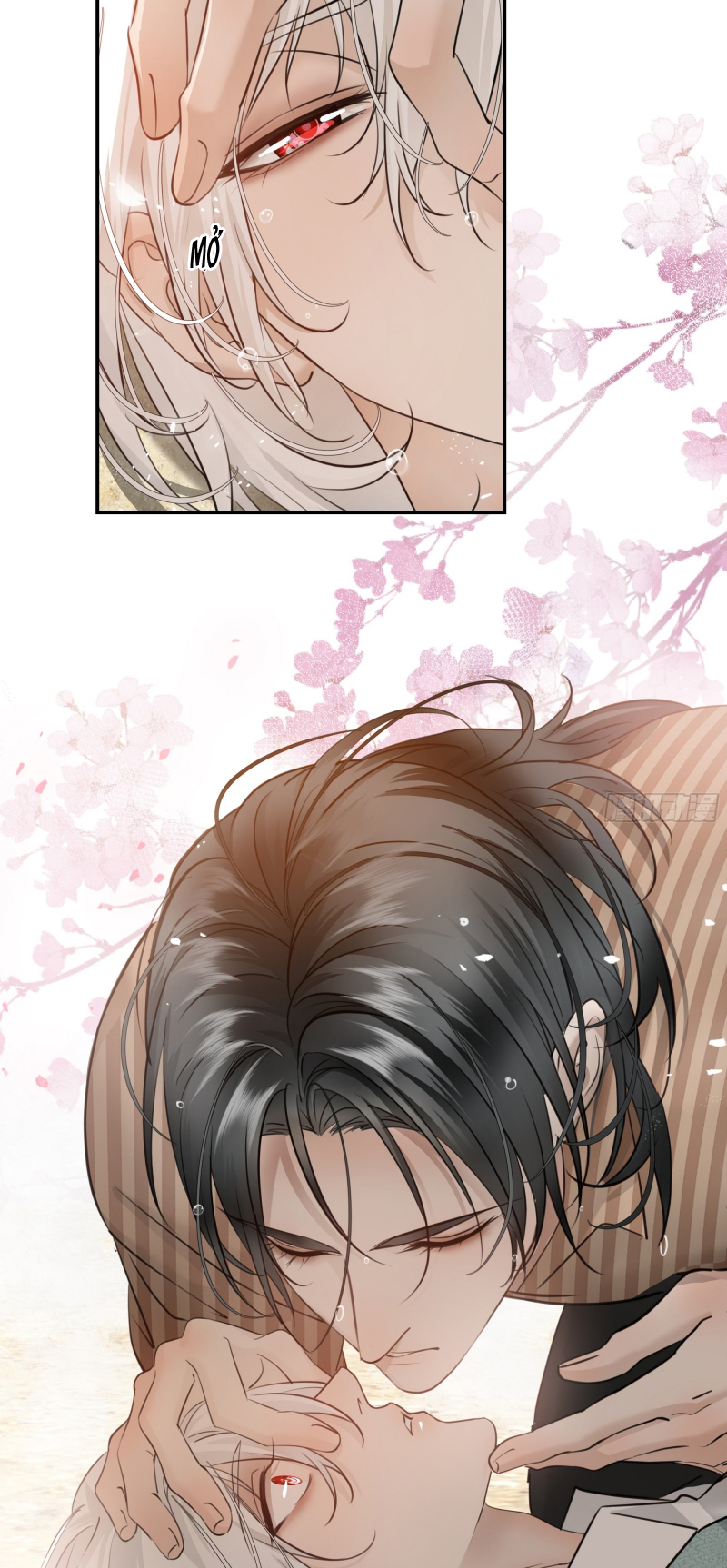 Gặp Tuyết Giữa Hạ Chap 15 - Trang 2