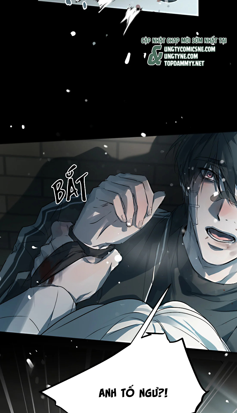 Bị Chó Điên Phát Hiện Tôi Là Đồng Loại Chapter 11 - Trang 3