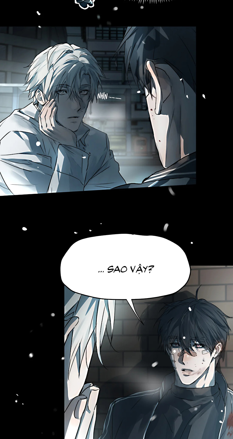 Bị Chó Điên Phát Hiện Tôi Là Đồng Loại Chapter 11 - Trang 3