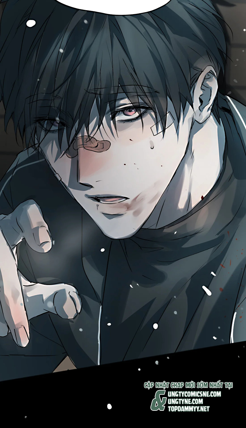 Bị Chó Điên Phát Hiện Tôi Là Đồng Loại Chapter 11 - Trang 3