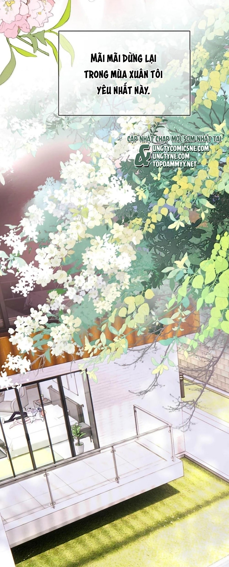 Công Lược Đối Tượng! Hình Tượng Của Cậu Sập Rồi! Chap 52 - Trang 2