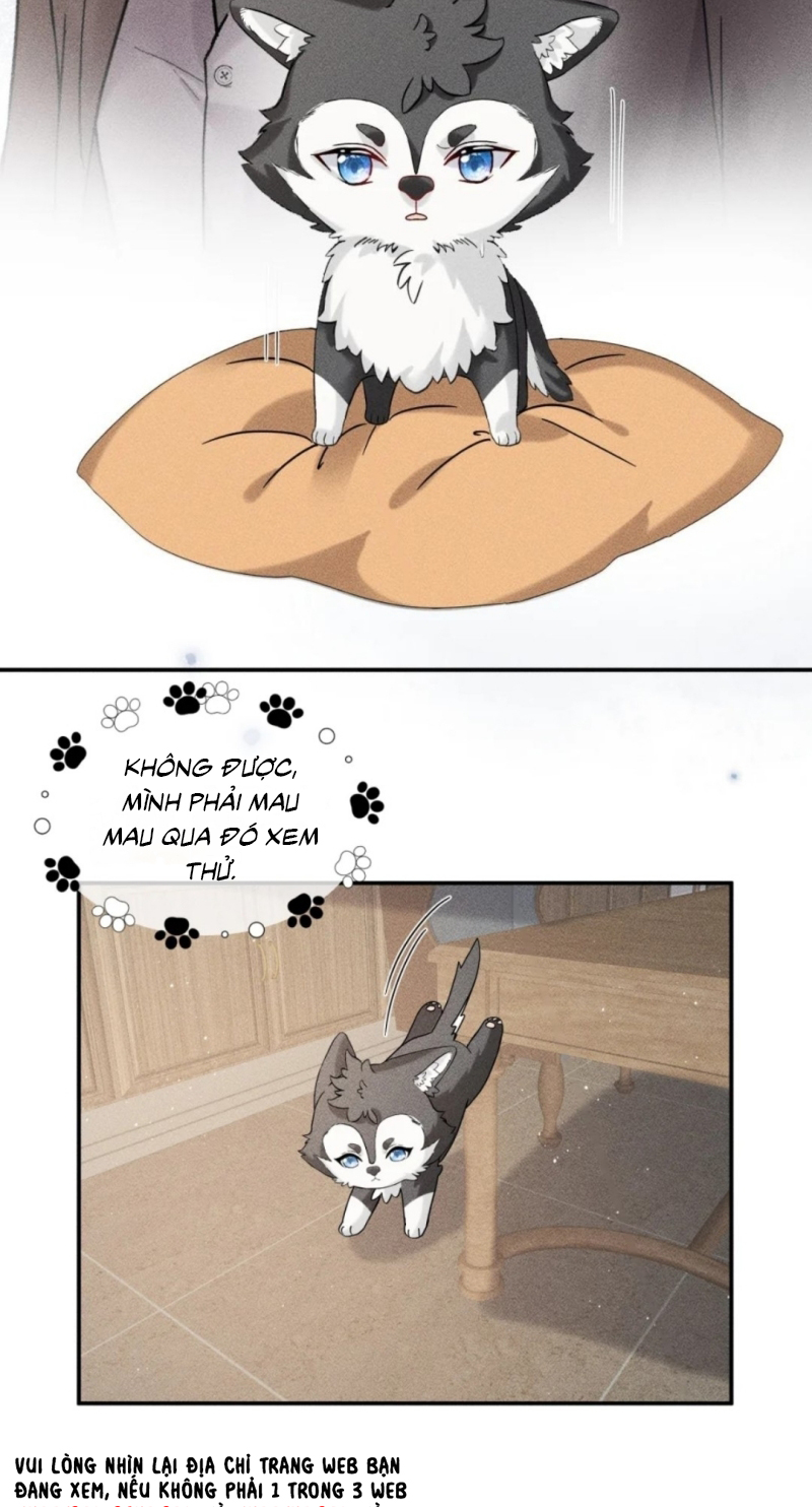 Nhận Kẻ Địch Làm Cha Chap 21 - Next Chap 22