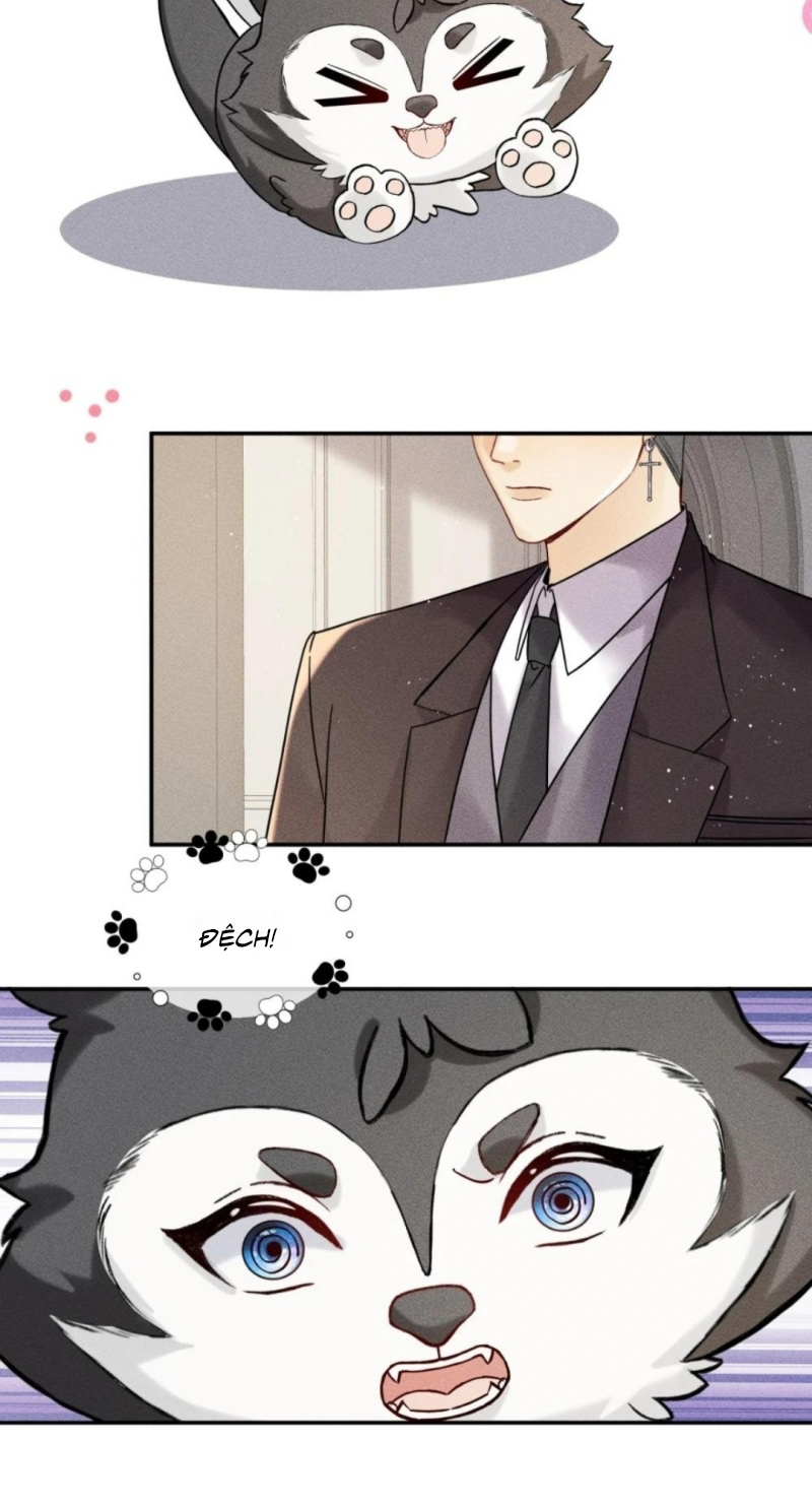 Nhận Kẻ Địch Làm Cha Chap 21 - Next Chap 22