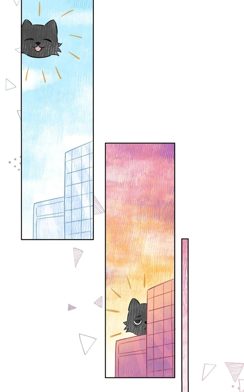 Lang Quân Muốn Chịu Trách Nhiệm Với Tôi Chap 25 - Trang 3