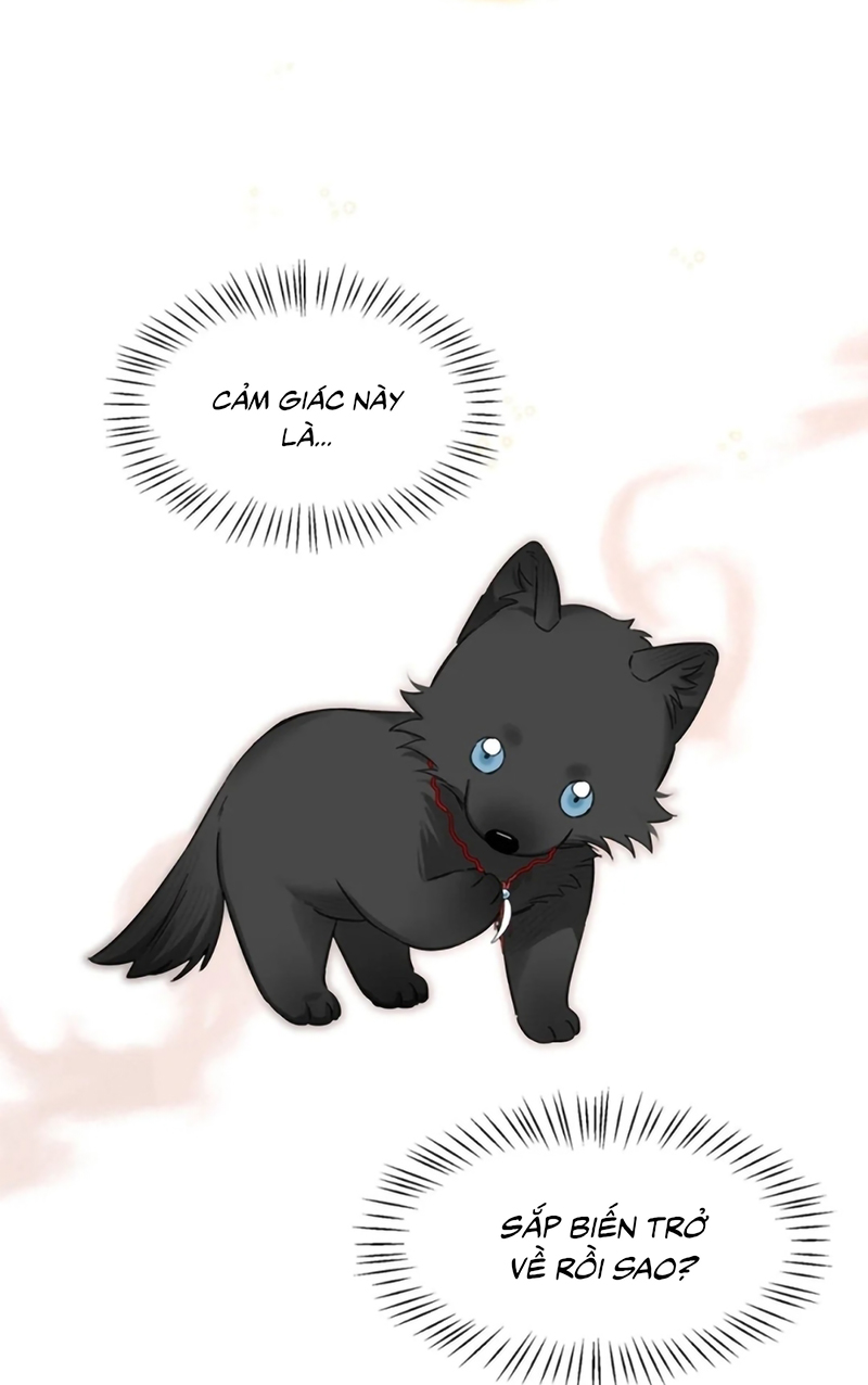 Lang Quân Muốn Chịu Trách Nhiệm Với Tôi Chap 25 - Trang 3