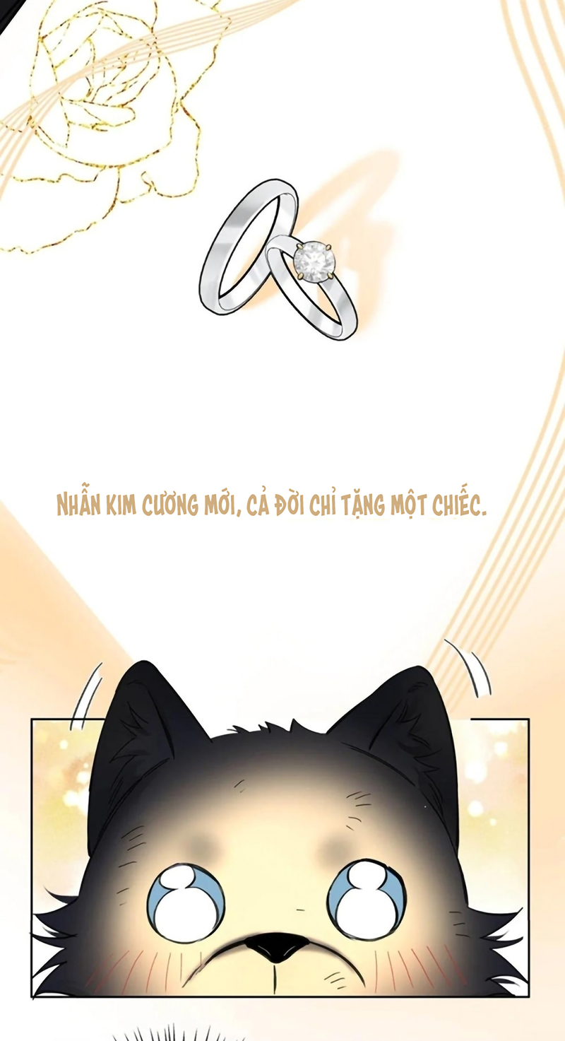 Lang Quân Muốn Chịu Trách Nhiệm Với Tôi Chap 26 - Trang 3