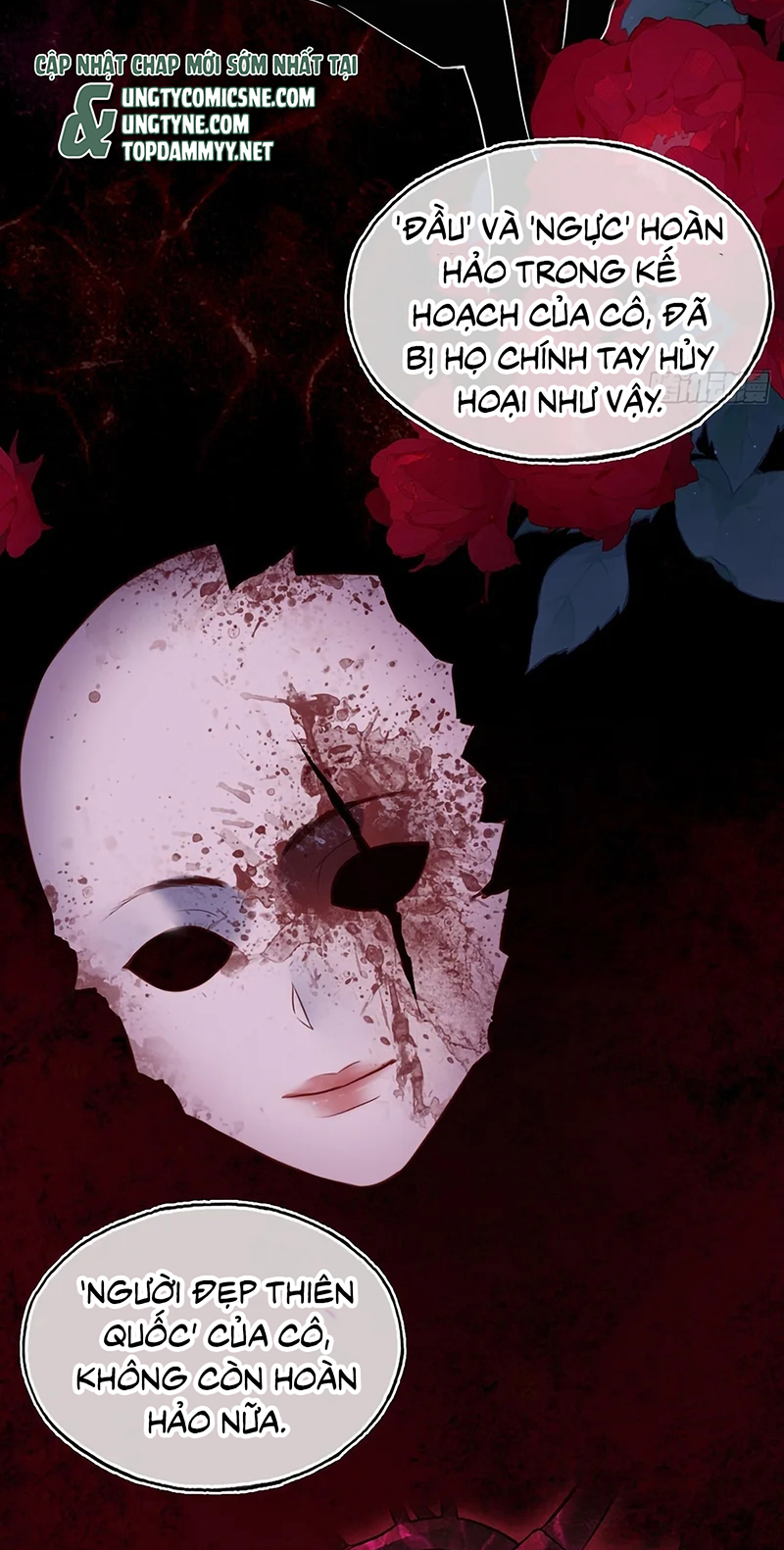 Anh Ấy Chưa Từng Rơi Xuống Chap 146 - Trang 3