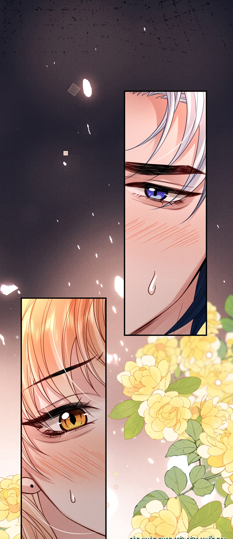 Tật Xấu Nuông Chiều Chap 60 - Trang 2