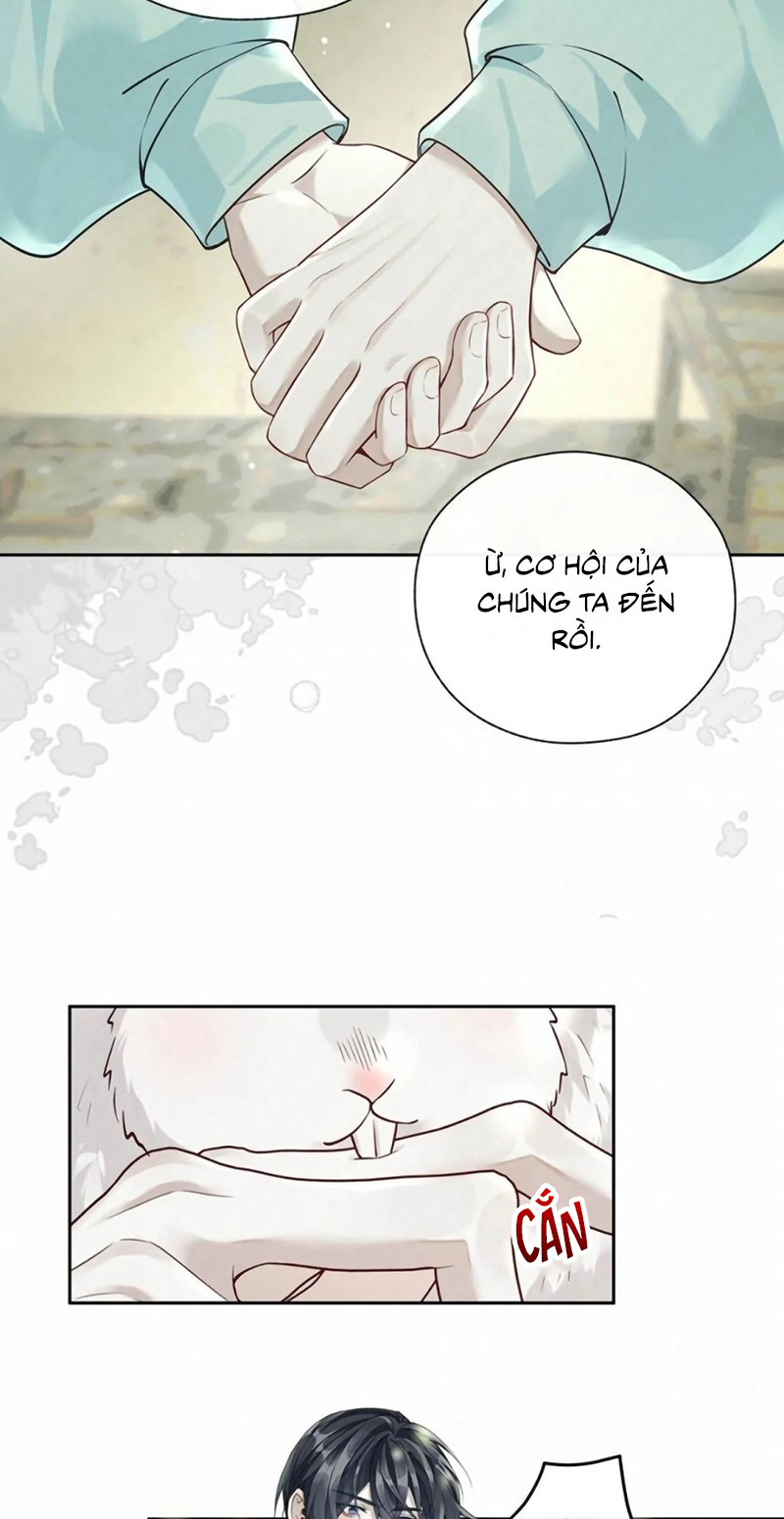 Hôm Nay Điện Hạ Bị Ám Sát Rồi À? Chap 26 - Trang 2