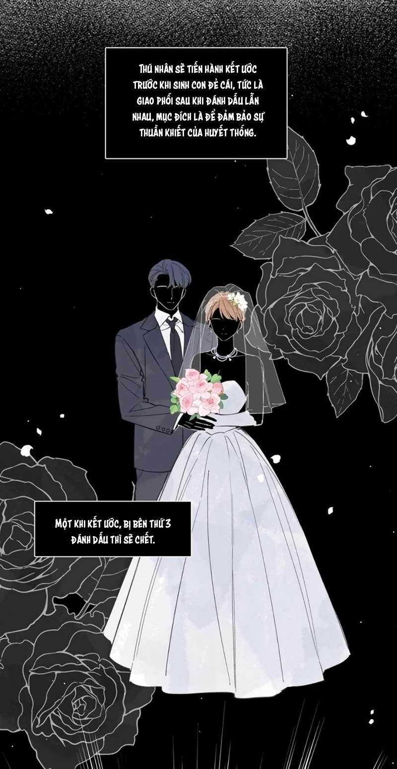 Lang Quân Muốn Chịu Trách Nhiệm Với Tôi Chap 27 - Next Chap 28