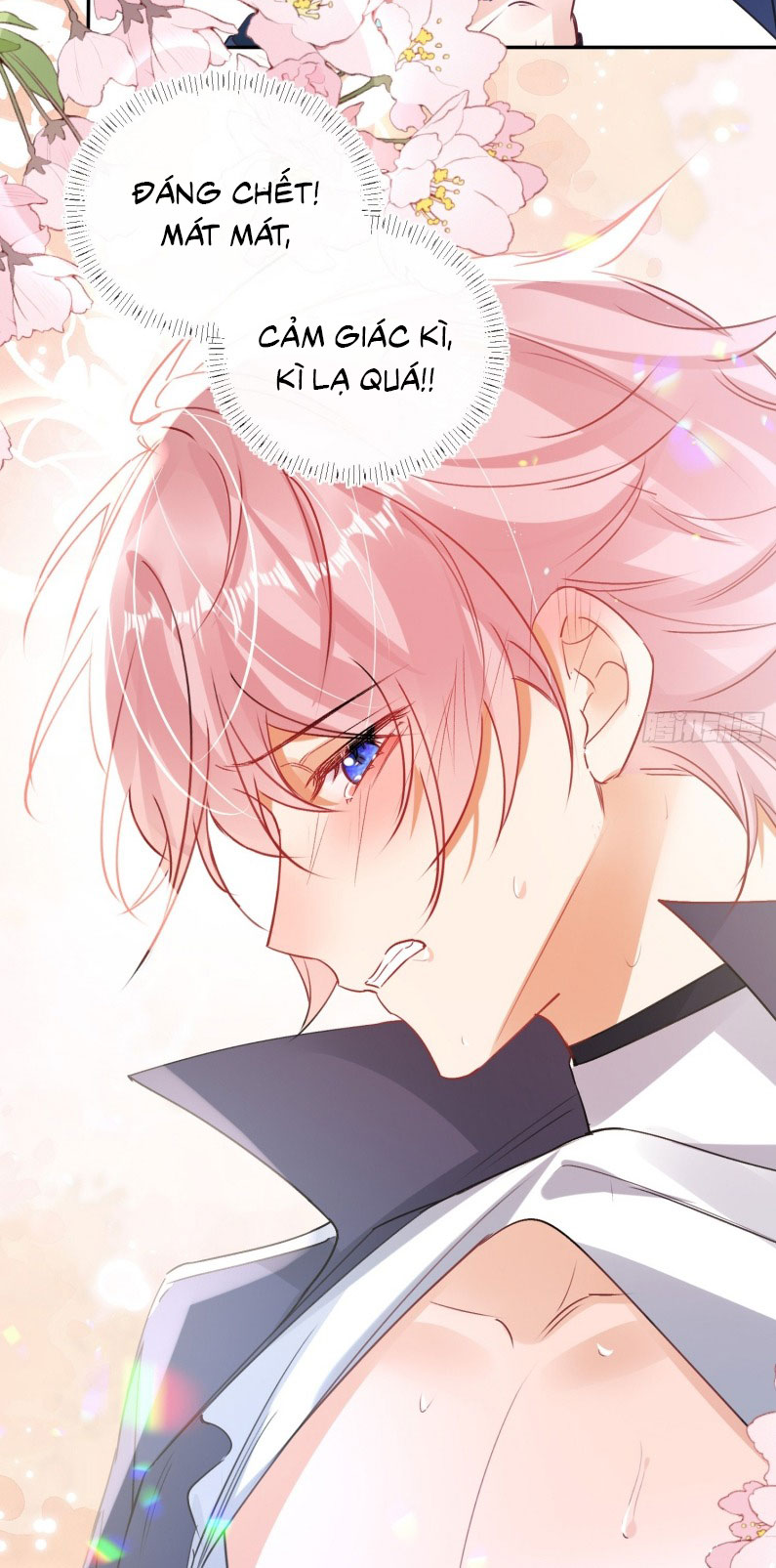 CẢ VŨ TRỤ ĐỀU MUỐN THÂN THIẾT VỚI TÔI Chap 4 - Trang 2