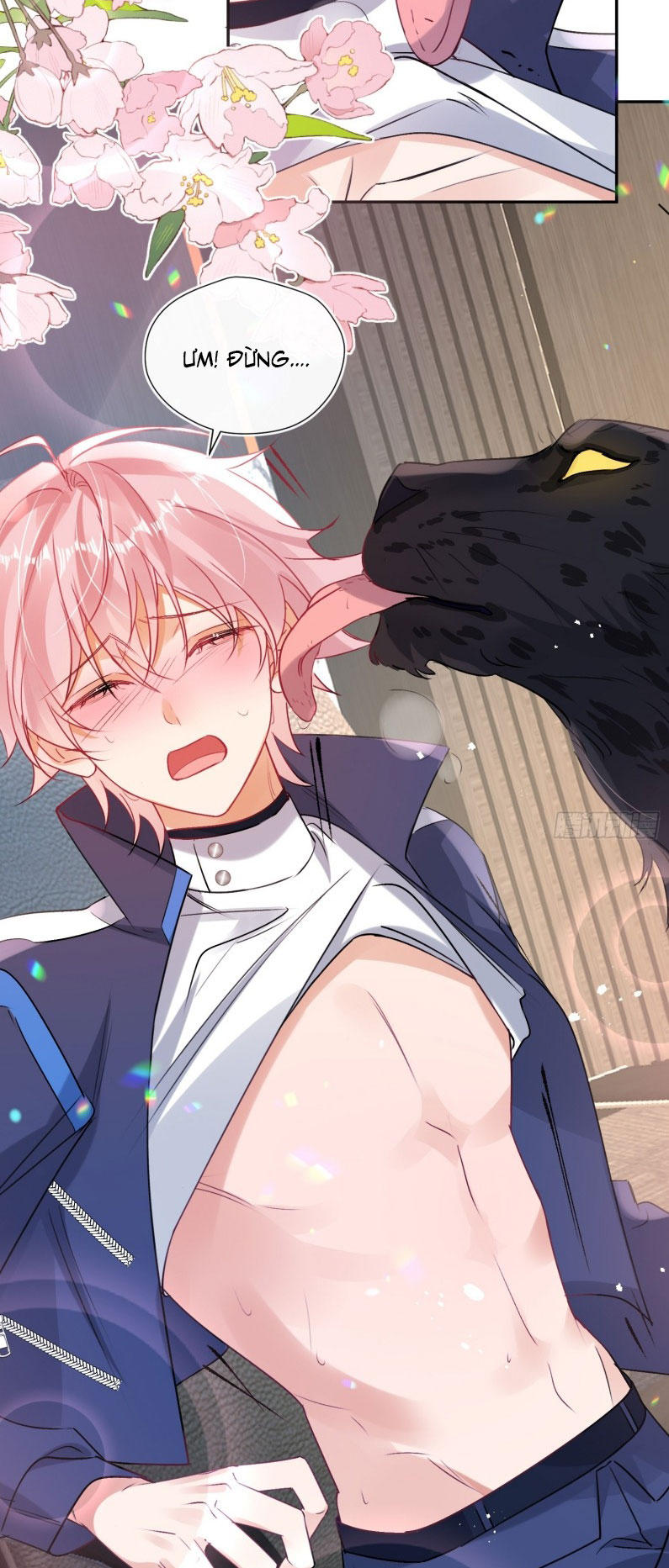 CẢ VŨ TRỤ ĐỀU MUỐN THÂN THIẾT VỚI TÔI Chap 4 - Trang 2