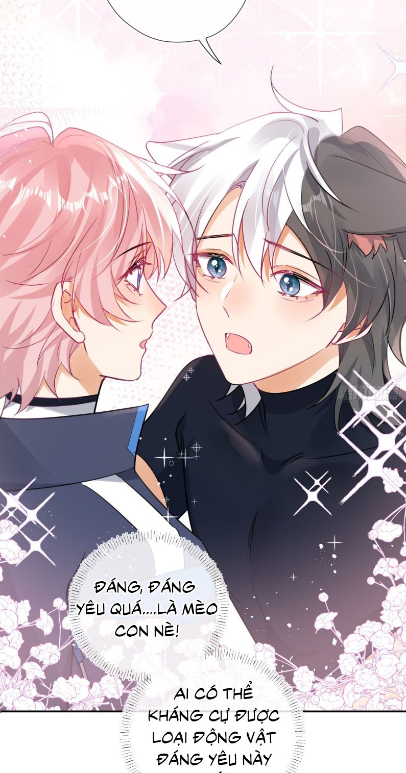 CẢ VŨ TRỤ ĐỀU MUỐN THÂN THIẾT VỚI TÔI Chap 5 - Trang 2