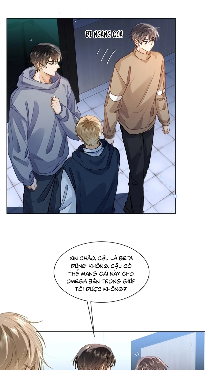 Tôi Thích Tin Tức Tố Của Cậu Chapter 90 - Trang 3