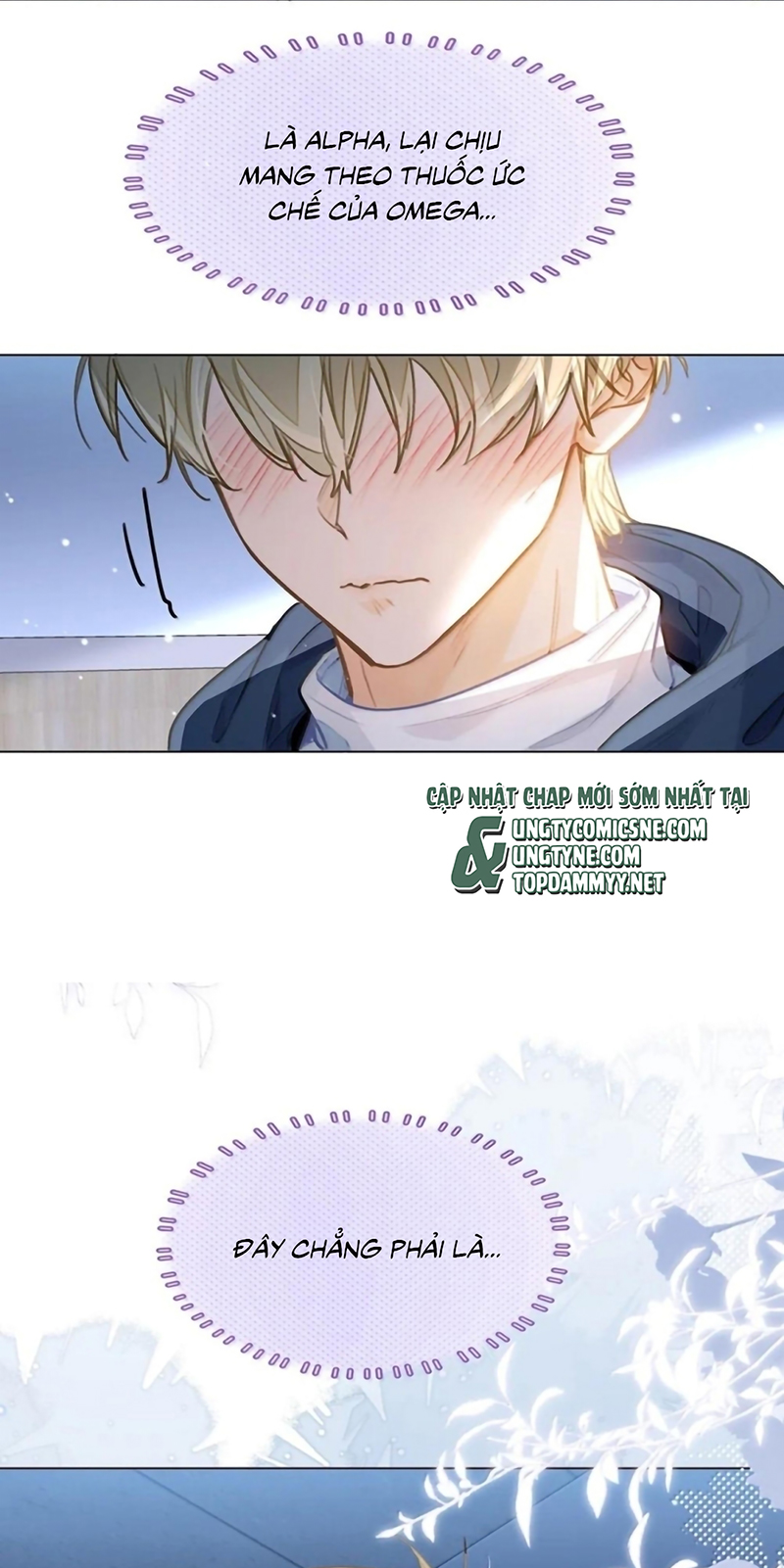 Tôi Thích Tin Tức Tố Của Cậu Chapter 90 - Trang 3