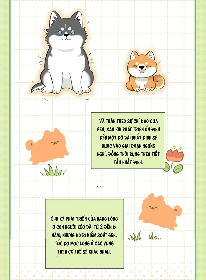 Lang Quân Muốn Chịu Trách Nhiệm Với Tôi Chap 28 - Next 