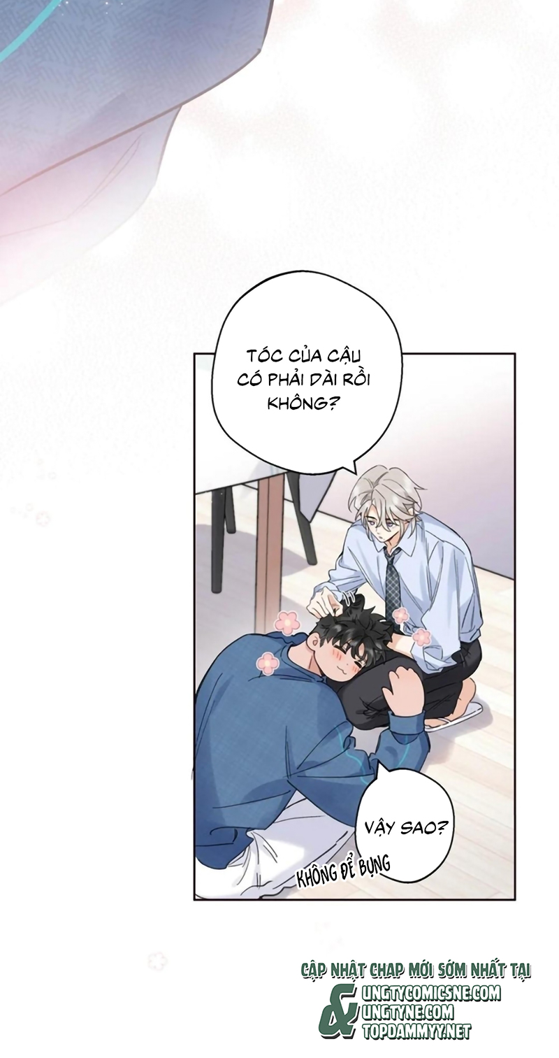 Lang Quân Muốn Chịu Trách Nhiệm Với Tôi Chap 28 - Next 